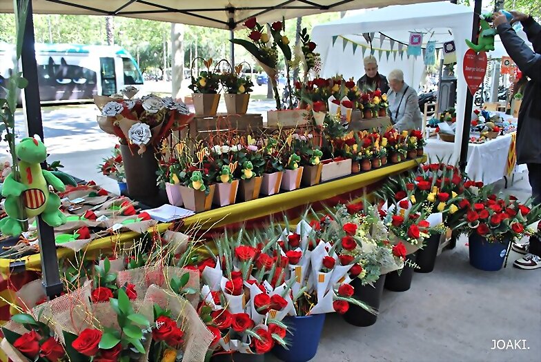 ESPECIAL SANT JORDI 2025 -2-