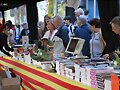ESPECIAL SANT JORDI 2025 - y 3-