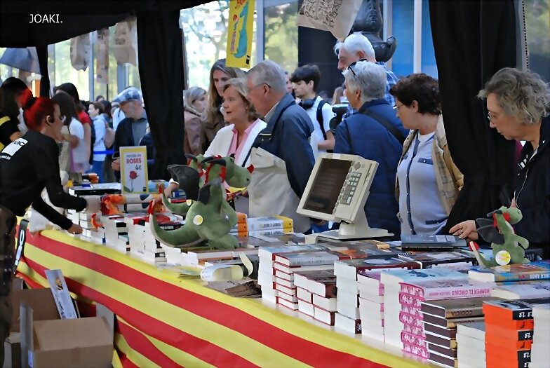 ESPECIAL SANT JORDI 2025 - y 3-