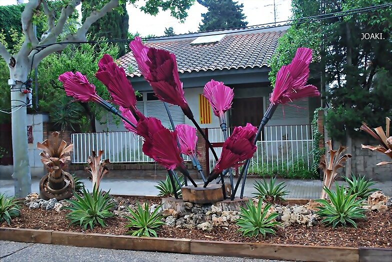 ESPECIAL EXPOSICION DE ROSAS 2025 -2-
