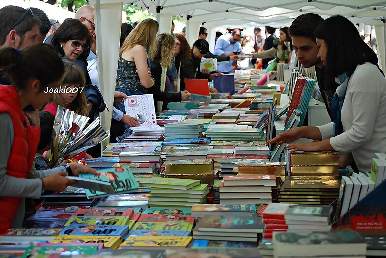 SANT JORDI 2017-