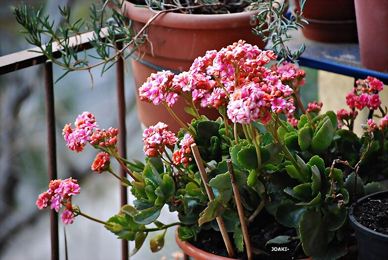 BUEN FIN DE SEMANA .¡¡