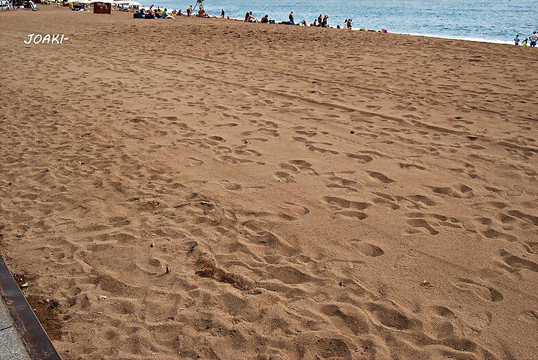 LA PLAYA ...