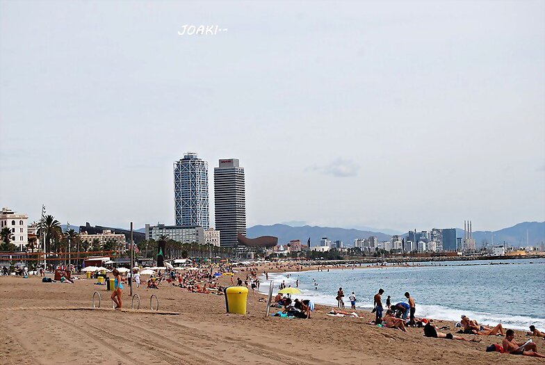 LAS TORRES MAPFRE Y EL PEZ...
