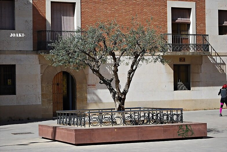 ARBOLES CON HISTORIA- 80-