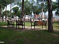 FELIZ DOMINGO. &iexcl;&iexcl;
