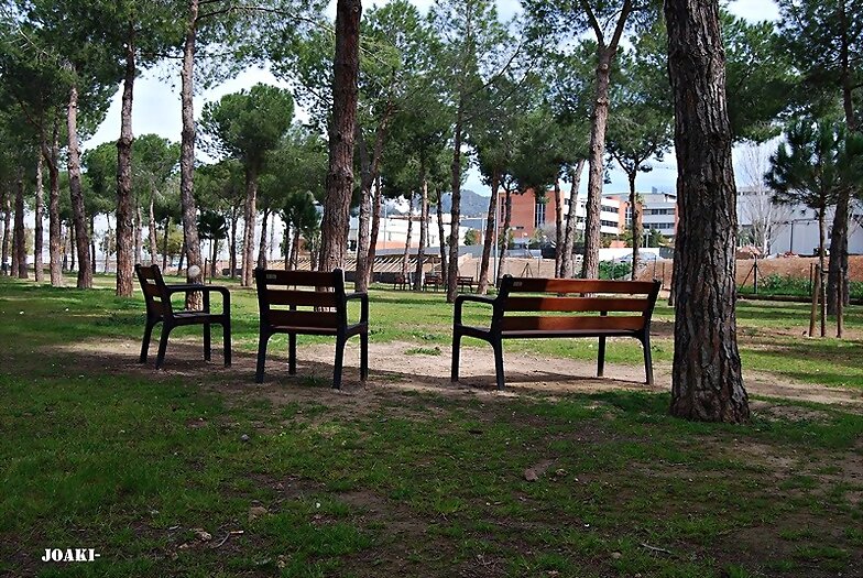 FELIZ DOMINGO. ¡¡