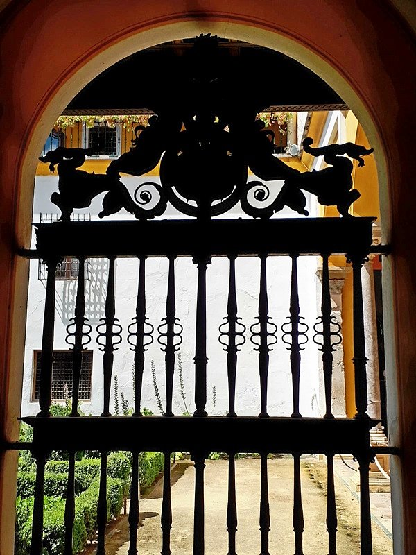 "LA RUTA DE LOS DRAGONES"- Dracs- 330-