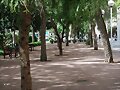 FELIZ DOMINGO. &iexcl;&iexcl;