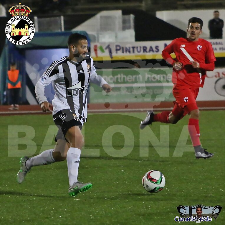 CANARIO