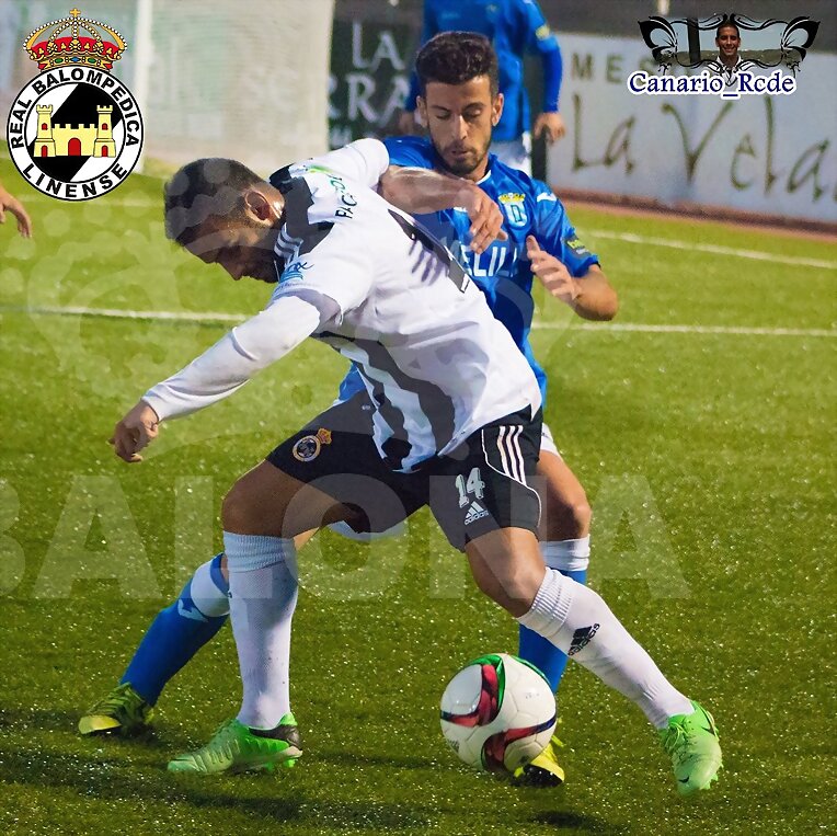 CANARIO