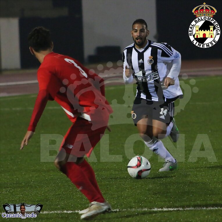 CANARIO
