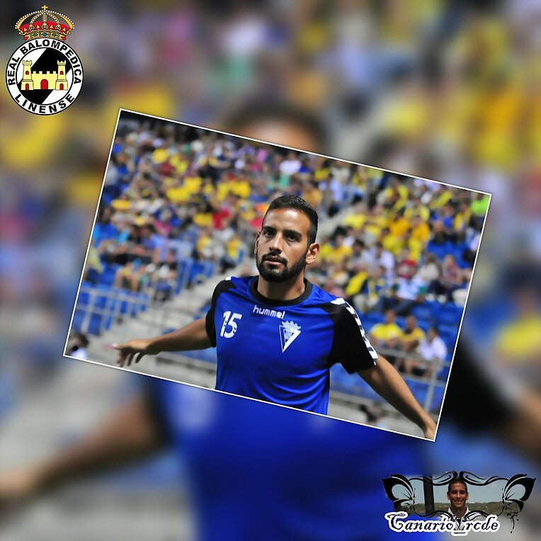 CANARIO