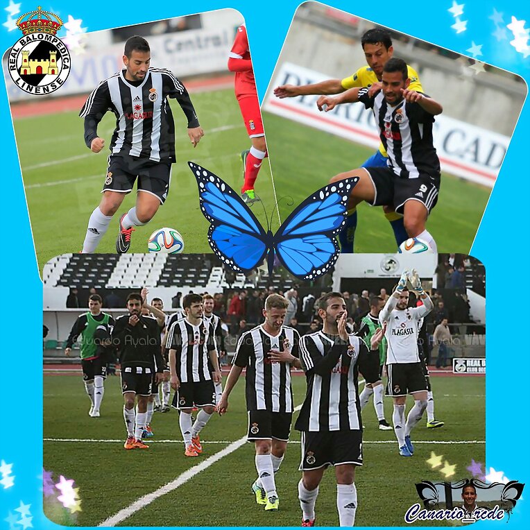 CANARIO