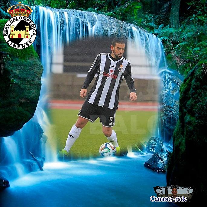 CANARIO