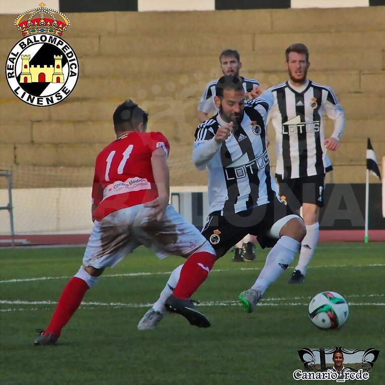 CANARIO
