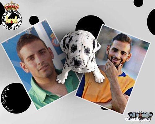 Canario