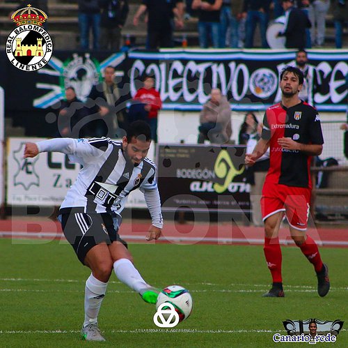 CANARIO