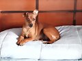 Presentando a Luna (3&ordm; parte)