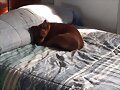 Presentando a Luna (4&ordm; parte)