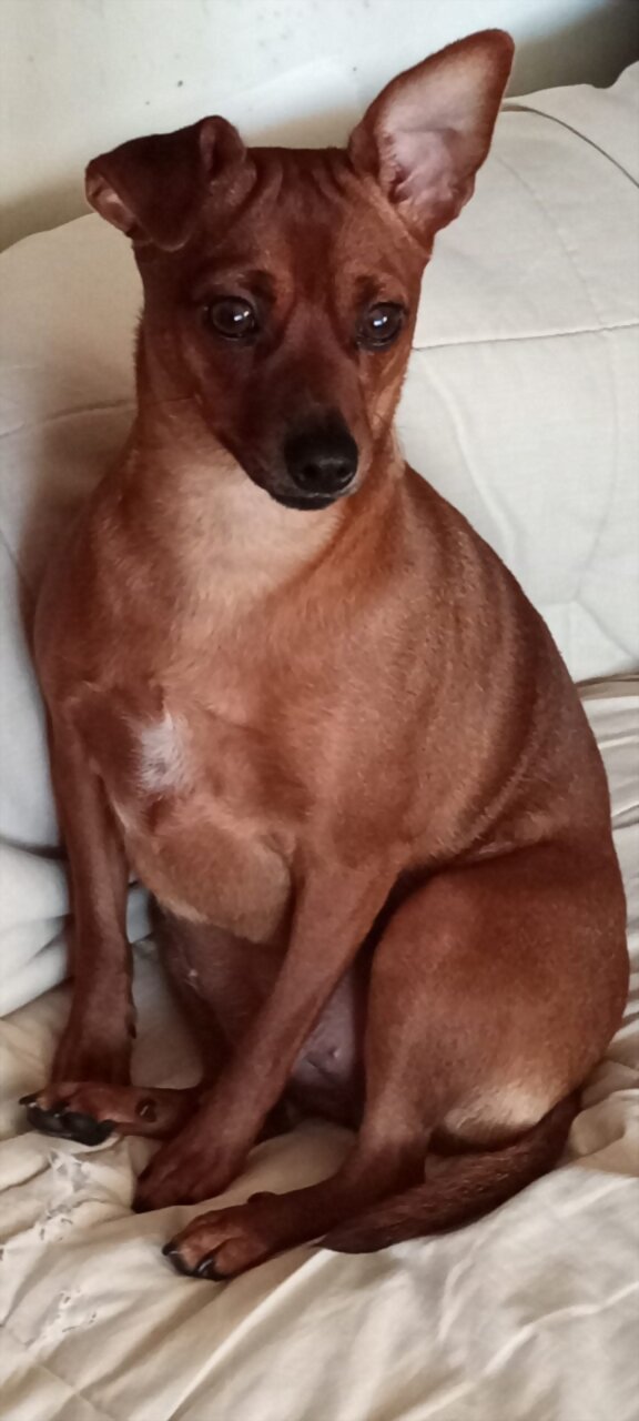 Presentando a Luna (5º parte)