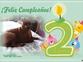Luna cumple 2 a&ntilde;os