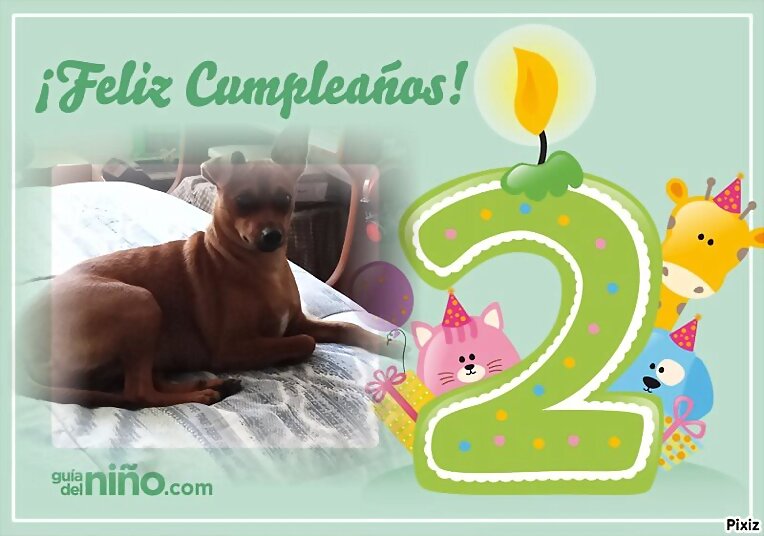 Luna cumple 2 años