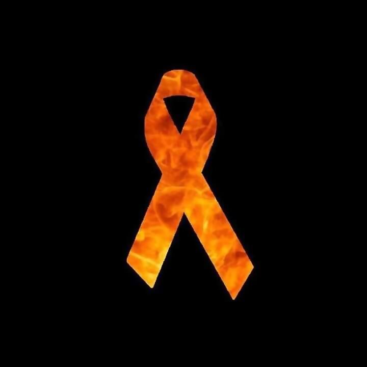 Asturias no arde, nos la queman