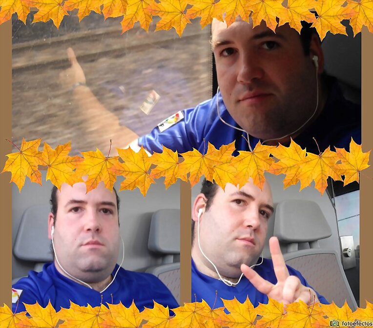 Collage otoño
