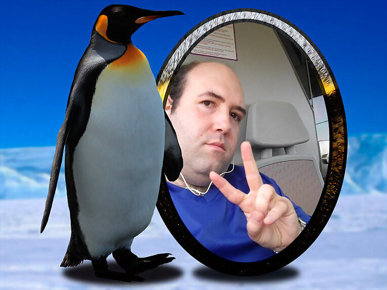 Montaje con un pingüino
