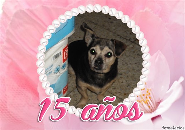 Pipo cumple 15 años