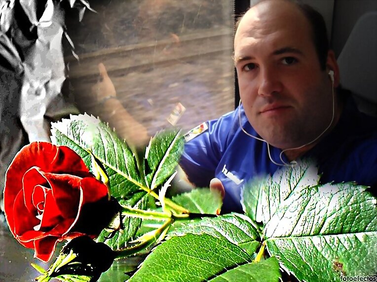 Montaje con una rosa