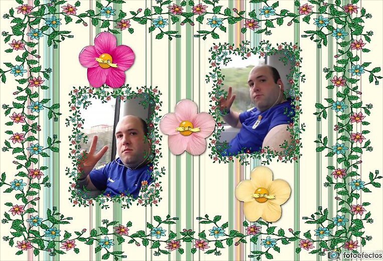 Collage floreado