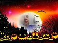 Halloween 2017 (VII)