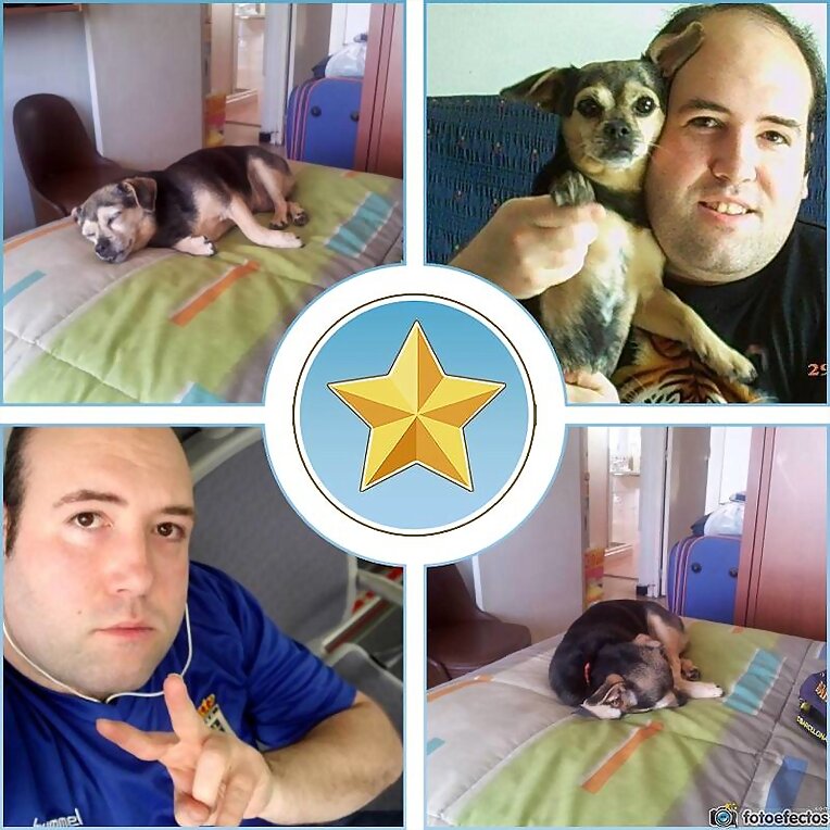 Collage Pipo y yo