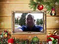 Navidad 2017 (XVII)