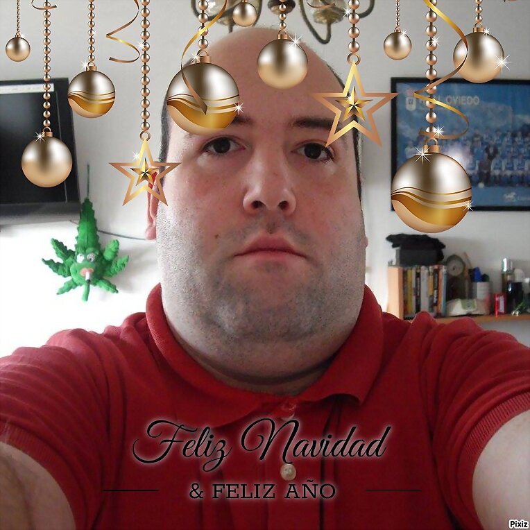 Navidad 2017 (XLI)