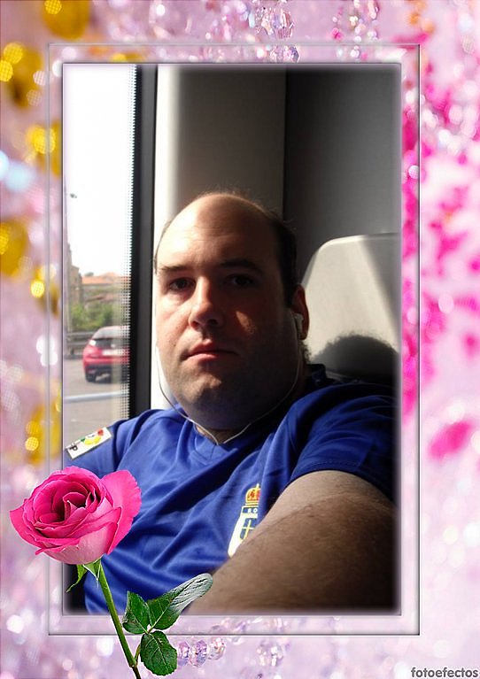 Montaje con una rosa