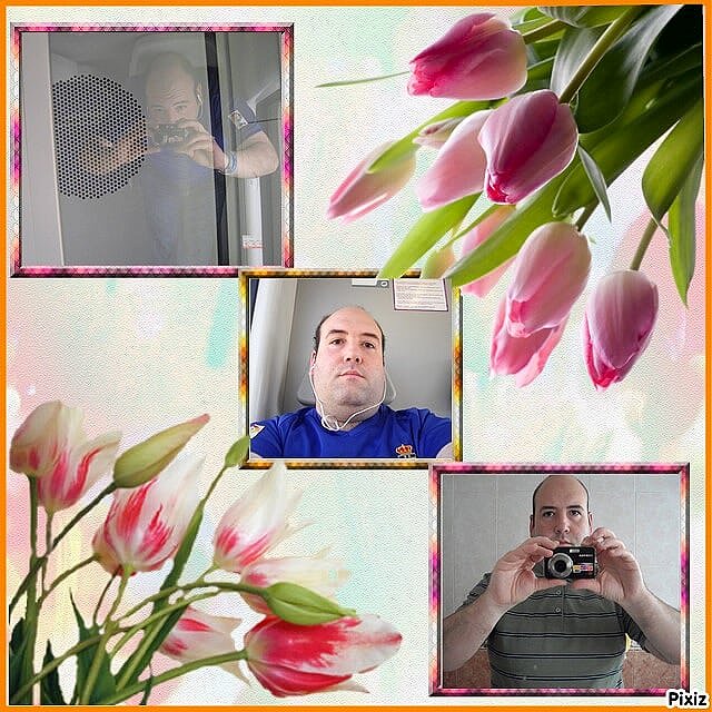 Collage con flores
