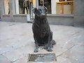 Rufo de d&iacute;a y de noche