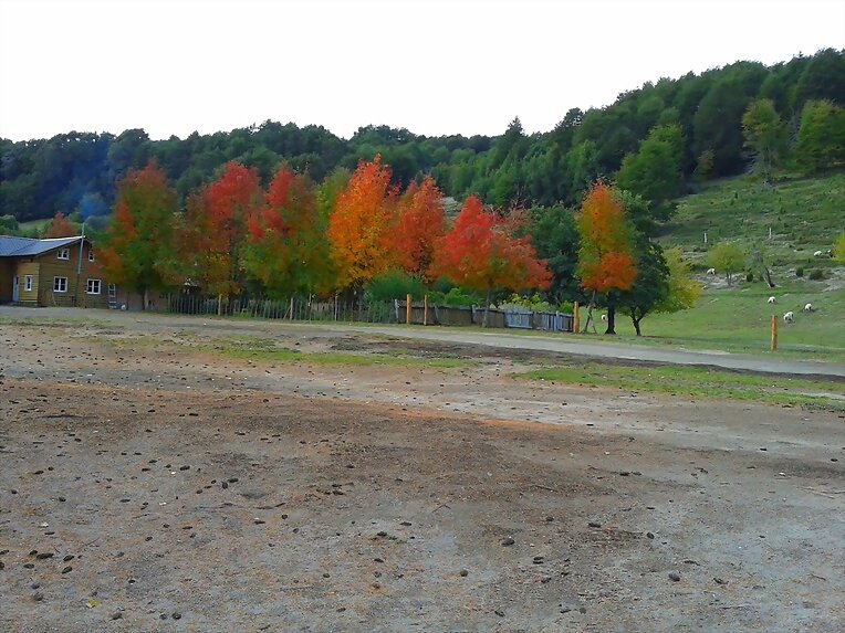 Fotos de otro otoño en otro lugar...