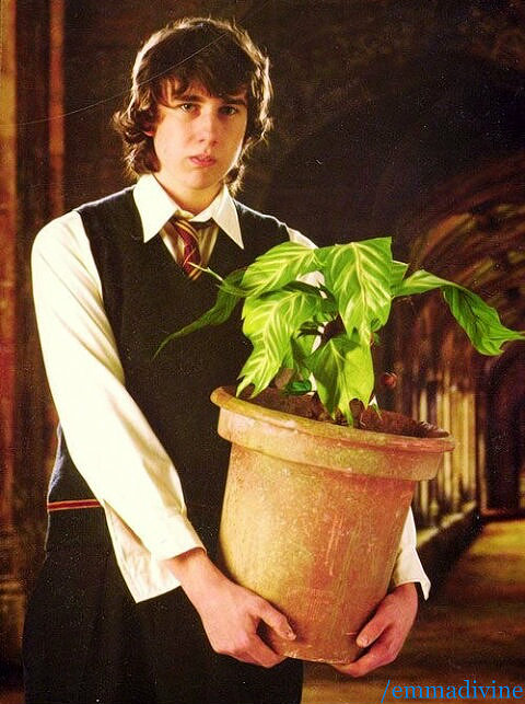 Matthew Lewis en Harry Potter y el Cáliz de Fuego