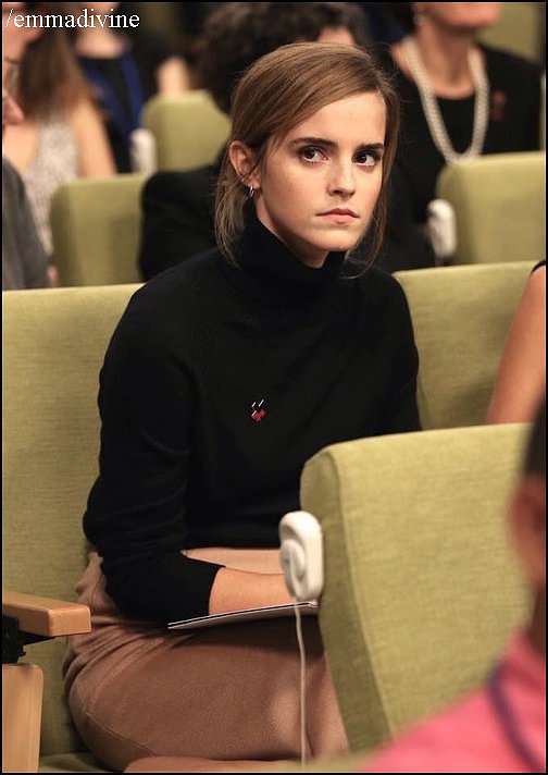 Emma Watson (Lunch de Naciones Unidas)