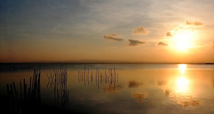 La Albufera