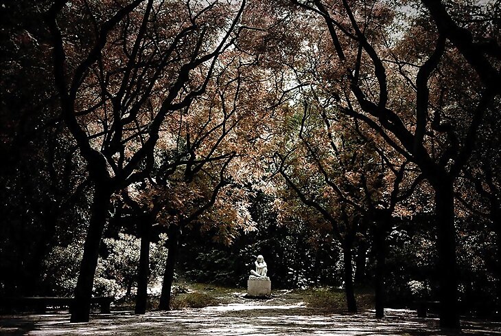 Al final del jardín