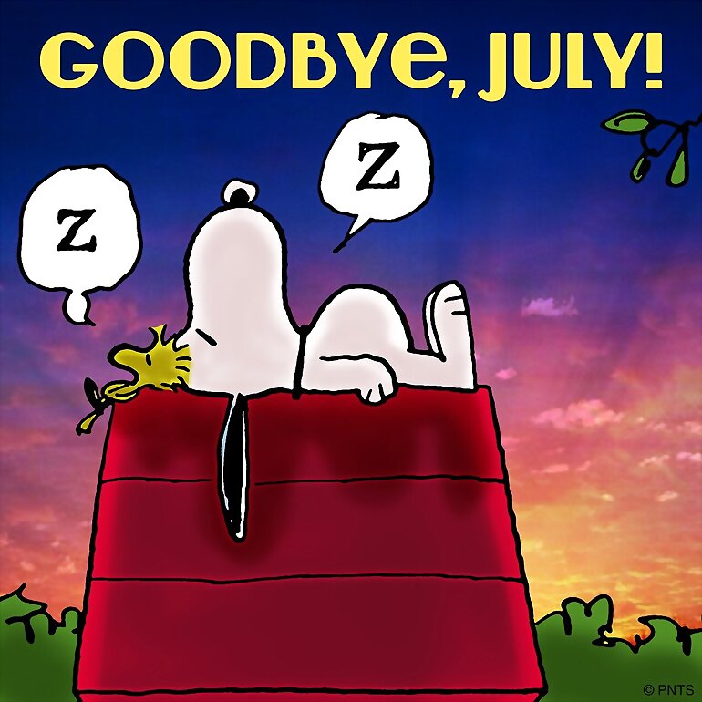ADIOS JULIO: FIN DE LAS VACAS