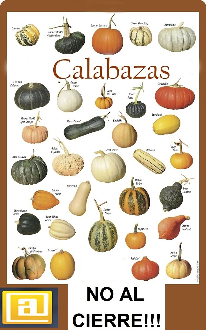 LAS CALABAZAS 5º PARTE