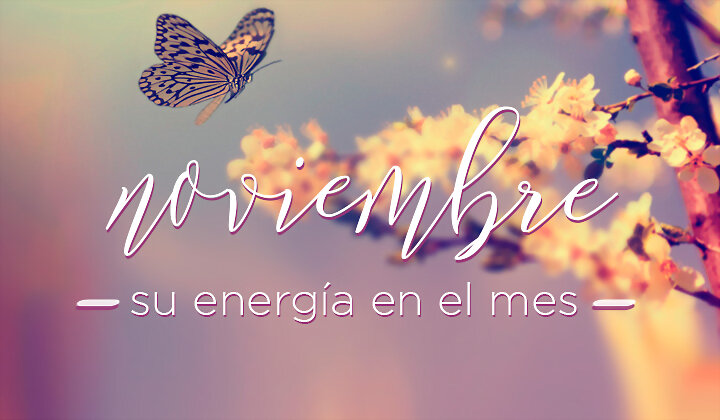 ADIOS NOVIEMBRE, QUE MES!!