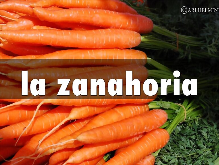 TAL DIA COMO HOY... LA ZANAHORIA 2º PARTE