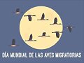 TAL DIA COMO HOY...  PAJARITOS Y OTROS DICHOS